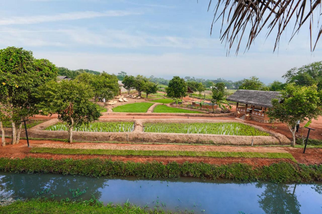 Ayurvie Sigiriya - Ayurvedic Retreat By Thema Collection Hotel Bagian luar foto